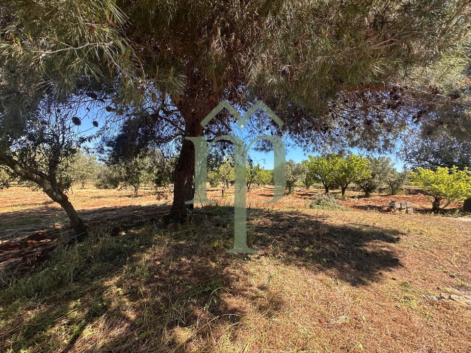 Helårsgrund i Carovigno, Brindisi - foto 1